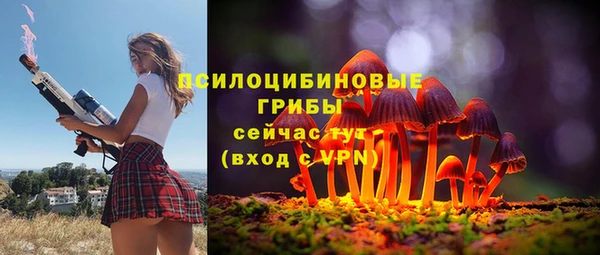 прущие крисы Ладушкин